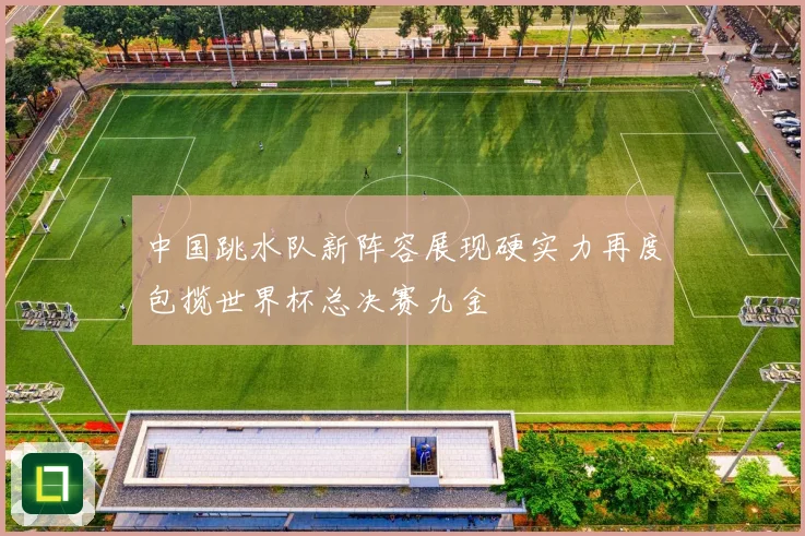 中国跳水队新阵容展现硬实力再度包揽世界杯总决赛九金